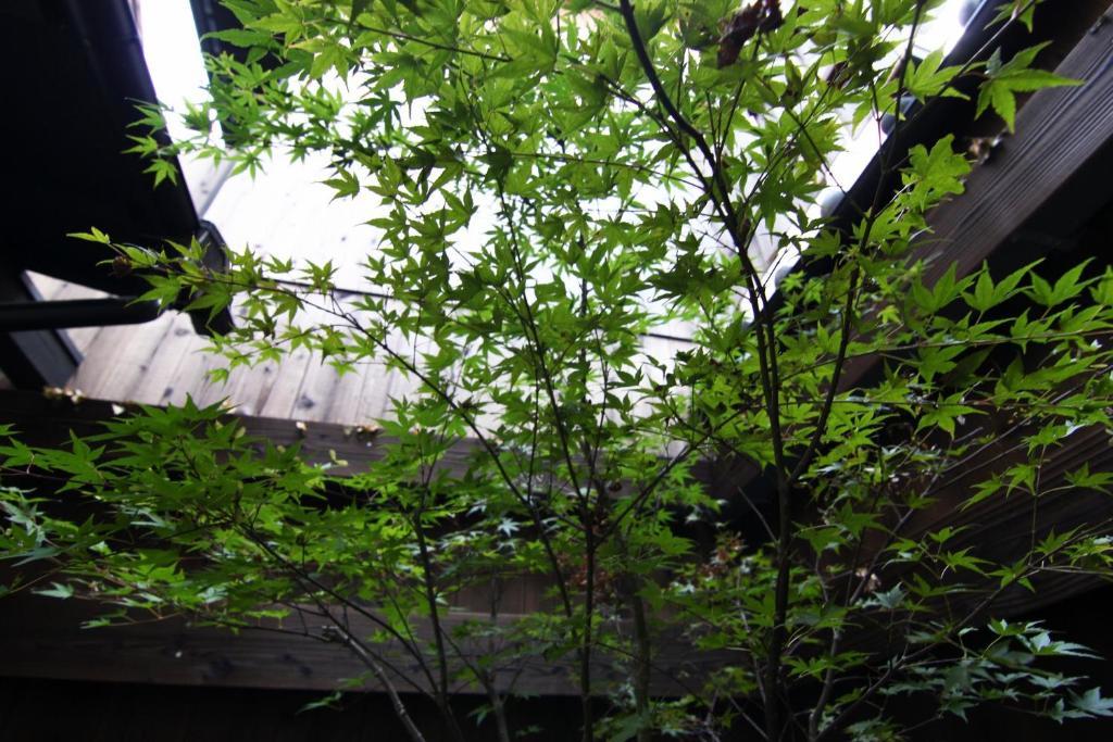 Anzu An Machiya House Villa Kyoto Kamer foto